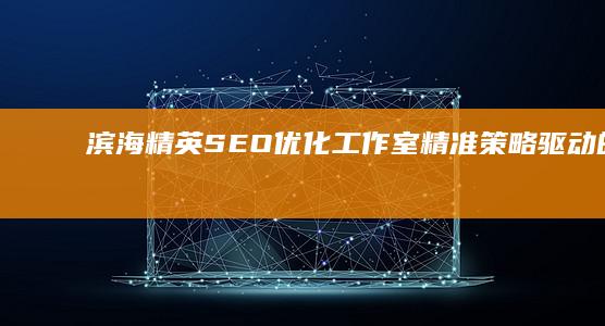 滨海精英SEO优化工作室：精准策略驱动的高效排名解决方案