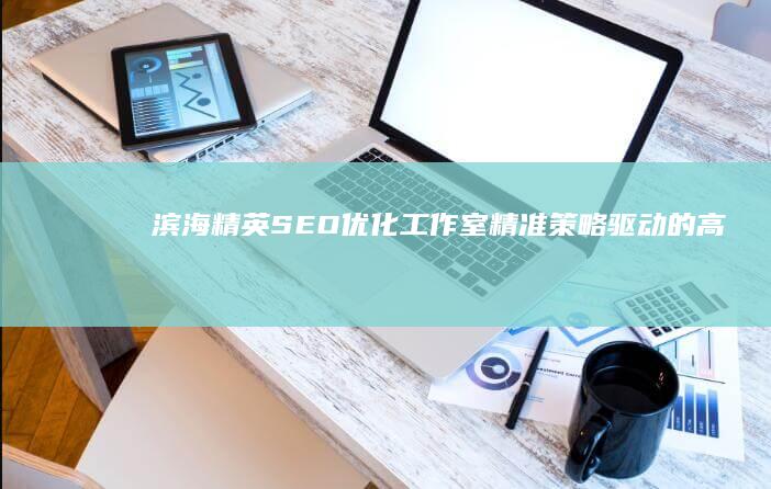 滨海精英SEO优化工作室：精准策略驱动的高效排名解决方案